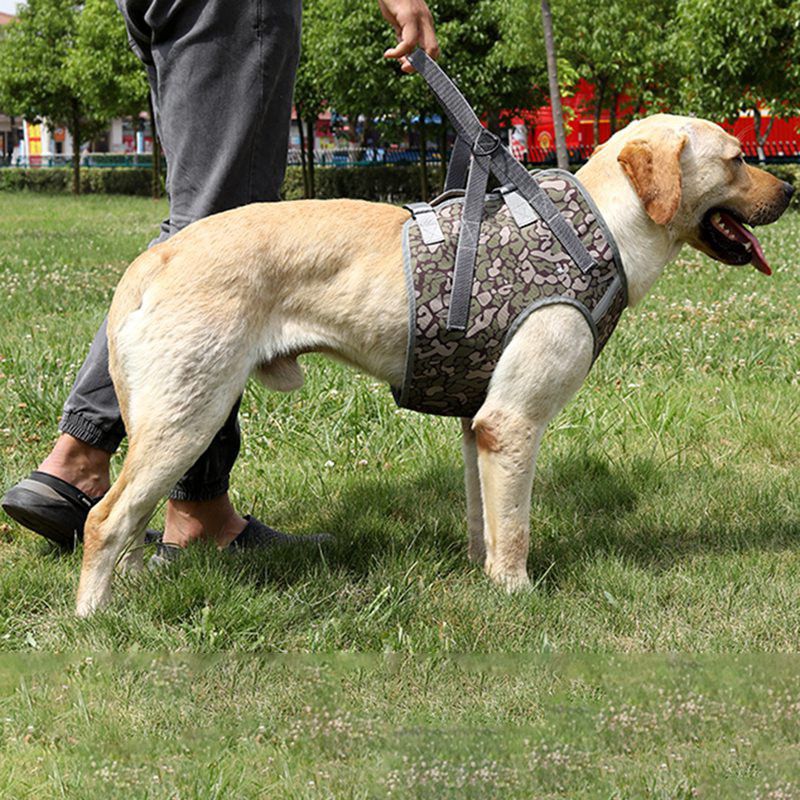 Dog Soft Adjustable Harness Pet Large Dog Walk Out Harness Vest for Medium Dog Chest Strap Dog Harness Pets Accessories-0