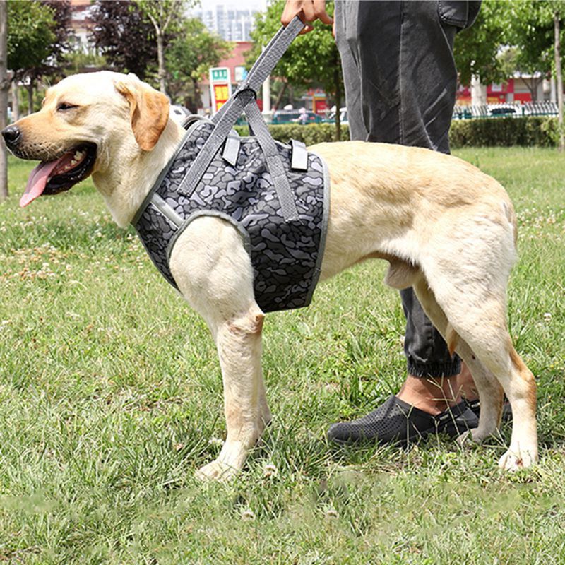 Dog Soft Adjustable Harness Pet Large Dog Walk Out Harness Vest for Medium Dog Chest Strap Dog Harness Pets Accessories-2