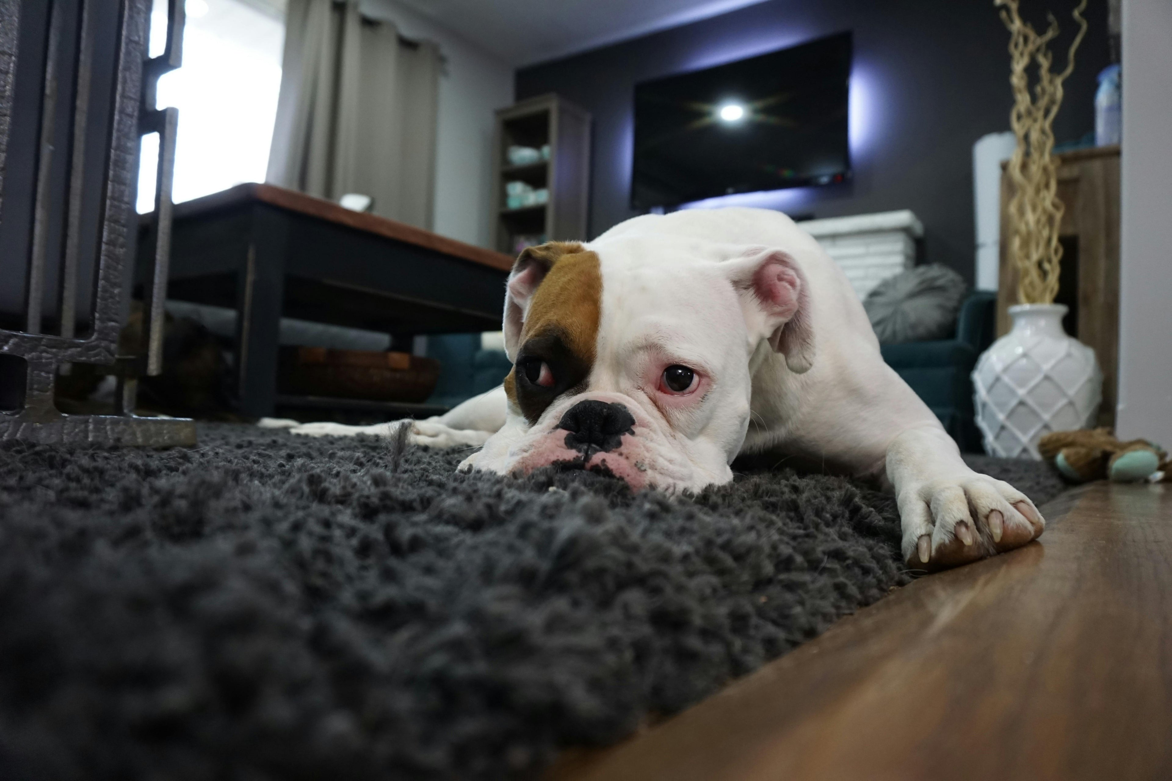 slider image 1621243260e1af0c20-0